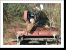 Rotax Motor